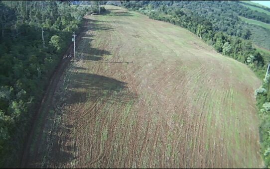 Terra de 12.5 hectares em Severiano de Almeida