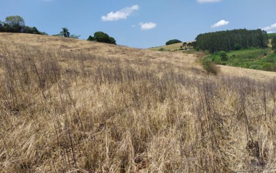 Terra - 10 hectares em Barão de Cotegipe